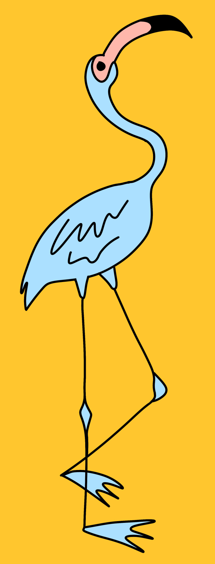 pugardens:  bird-son:  ///Flamboyant///  