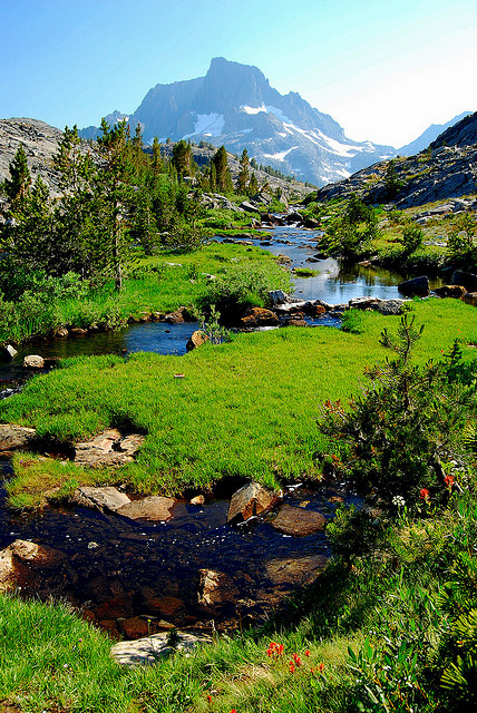 dranilj1:  Sierra Meadow &amp; Stream by Talo66 on Flickr. 