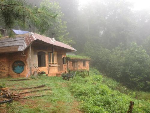 I’m in a pretty big transitional place, so the plan is to sink some roots in the Appalachian mountains for awhile. I had been visiting an Eco village called Earth Haven ( http://www.earthaven.org ) near Asheville for the last week with my really good...