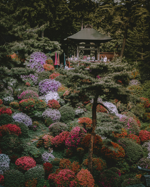 Heavenly Landscape at Shiofune Kannnon-ji Temple in Ome, Tokyo About two hours from the center of To