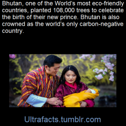 ambris:  ultrafacts:    Last year, 100 Bhutanese