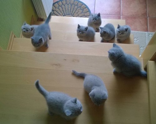 lynati:whenthesecondsun:Why do you have all those cloud babies scattered around your staircaseSomeon