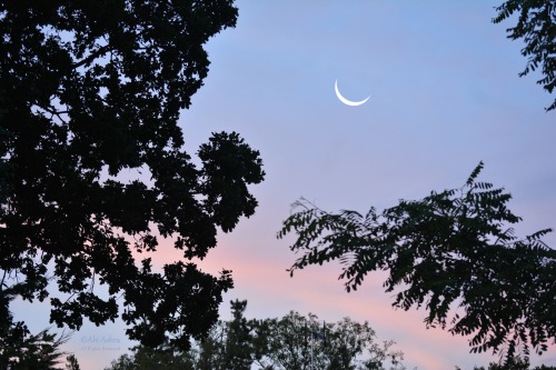 love-abia:   Old and New by Abi Ashra  (Tumblr)