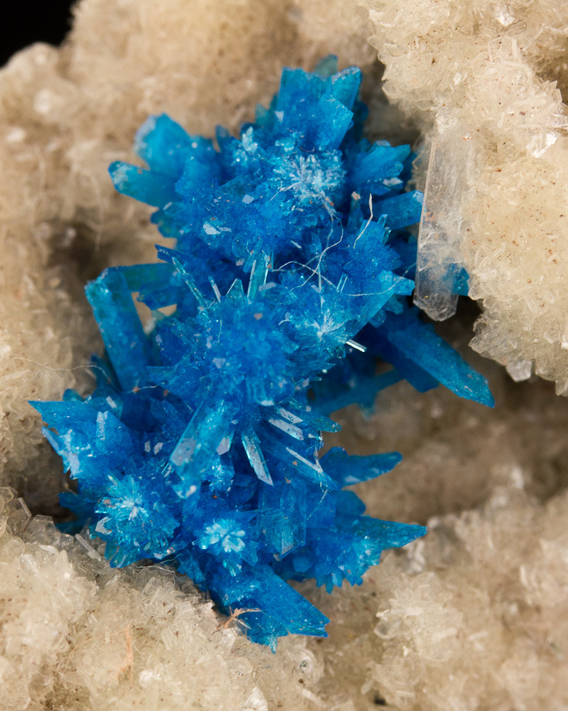 fuckyeahmineralogy:  (via Treasure Mountain Mining) Pentagonite on quartz, India