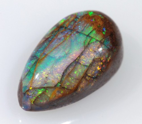 bijoux-et-mineraux:Opalized Wood Fossil - Winton, Queensland, Australia