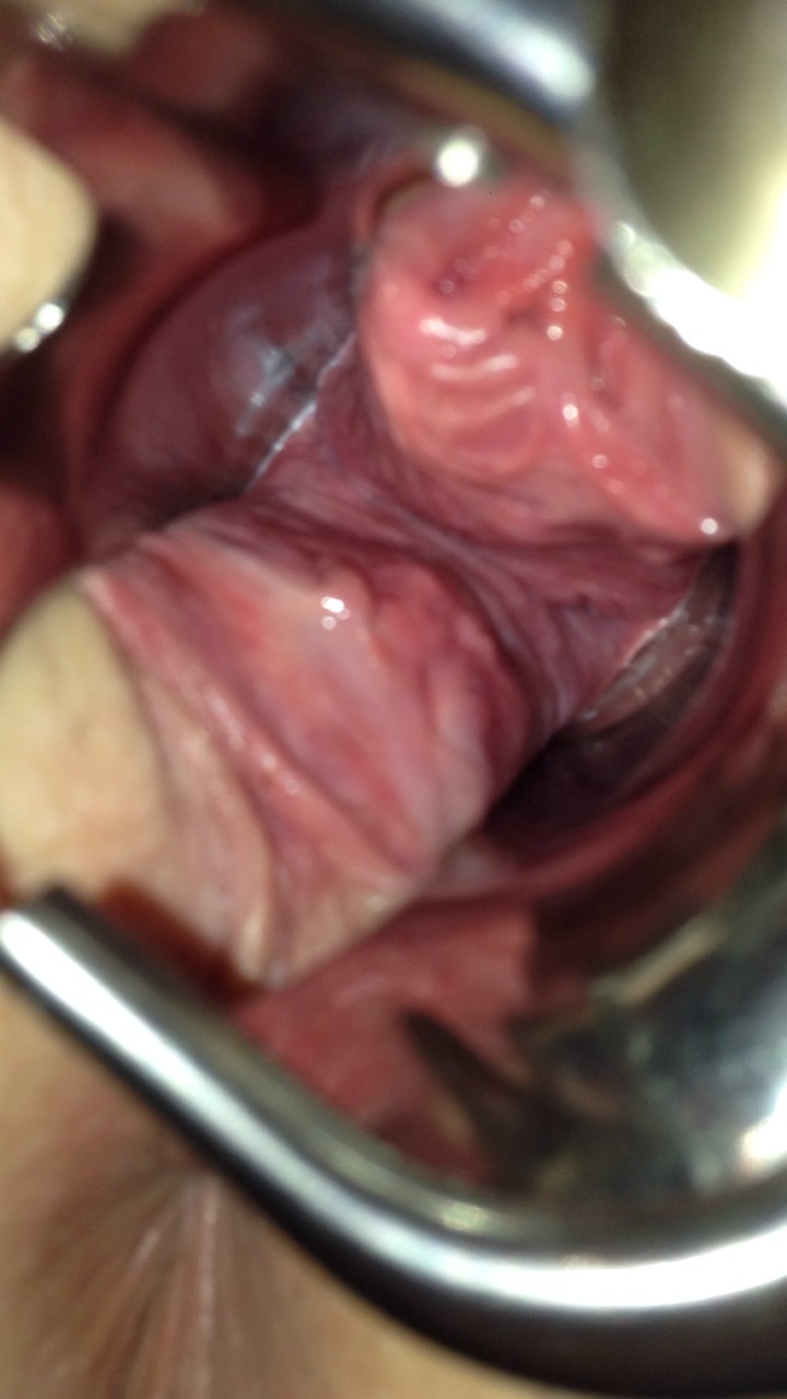 kinkycouplehavingfun:  Had a lot of fun with our new toy last night.. Looking forward