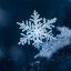 icy-bluez