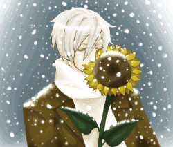 princeofsunflowers:  Russia: Sunflower by