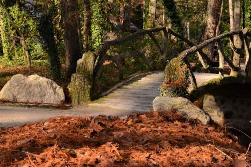 silvaris:Bridge into the woods by Julia Clément
