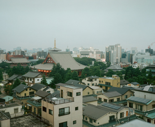 lukepownall: Early morning Asakusa, Tokyo.