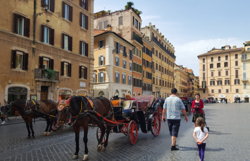 Patiently waiting.Rome, Italy