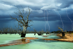 sixpenceee:“I cannot describe the eerie feeling I had when I walked in on this scene. I followed a massive storm front several 100 kilometers hoping to capture something special but this blew my mind. The surreal milky green water is a natural phenomenon