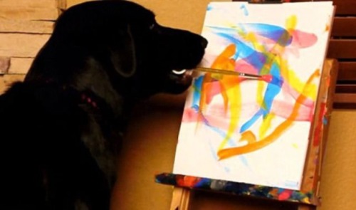 x0livelaughlove0x: This dog is more artistically talented than I am…