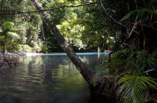 oceaniatropics: Kaba Gada Indigenous sacred site, Queensland, Australia