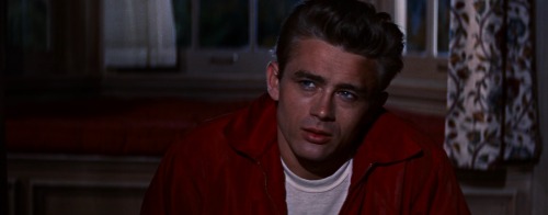 Rebel Without a Cause (1955), Nicholas Ray