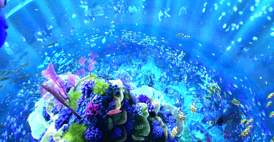 credencesbarebone:  just keep swimming, just keep swimming…