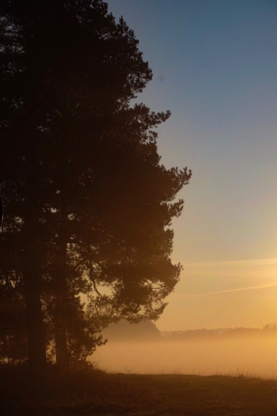 jalouise:  tranquility 