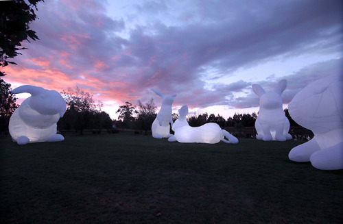 staceythinx: Giant inflatable rabbit installations by artist Amanda Perer