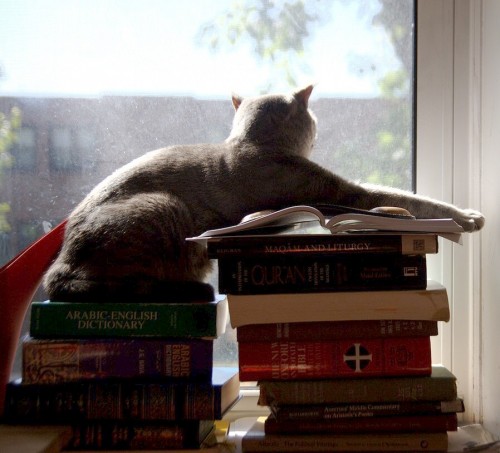 my assistant (via janiceangstrom)
