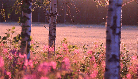 59df6d2dc7116c9b7437c41e0c0db038aef064ad.gif