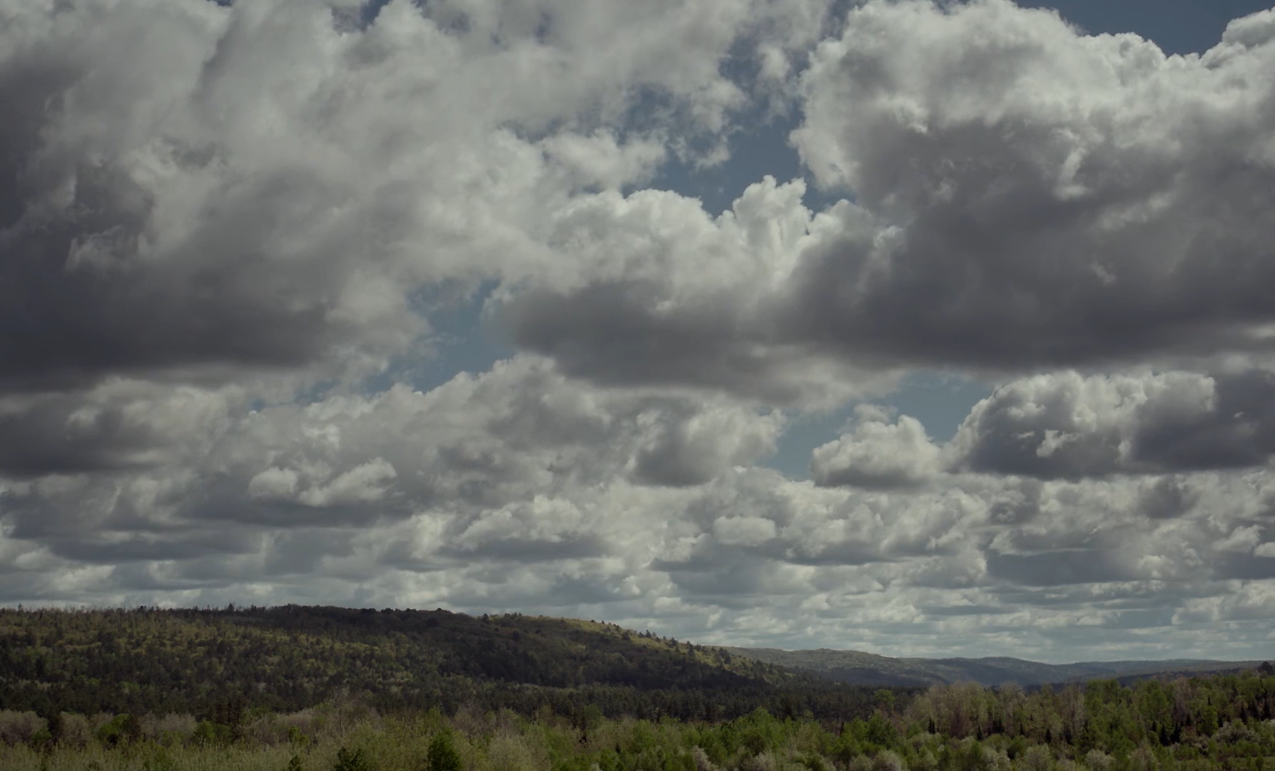 livsullmann:  The Witch (2015) dir. Robert Eggers  “Wouldst thou like to see the