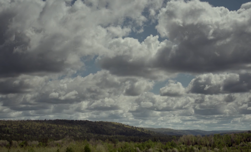 livsullmann:  The Witch (2015) dir. Robert Eggers  “Wouldst thou like to see the world?”  