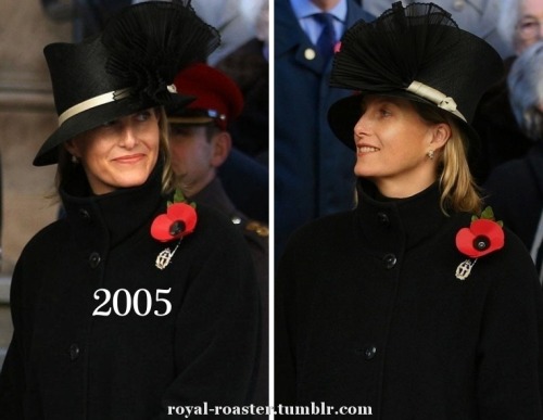 Countess of Wessex National Service Of Remembrance 2010 - 1999