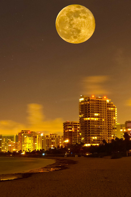 obscvred:  Moon Up by Smith