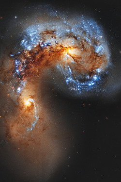  NGC 4038 Colliding Galaxies - Hubble Legacy Archive | © | HP 