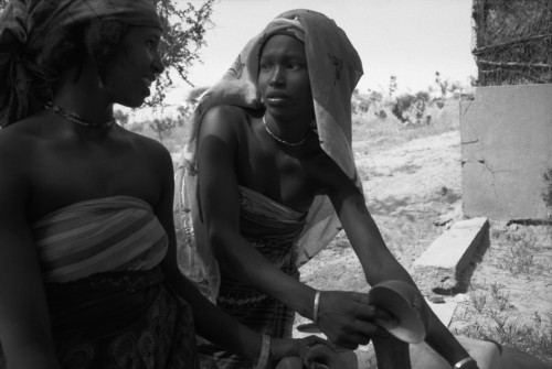 nordafricain:NIGER. Near Tanout. The Bororos