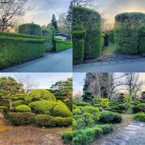 ＼おにわさん更新情報／ ‪[ 岩手県金ケ崎町 ] 細目家庭園 Hosome House&rsquo;s Garden, Kanegasaki, Iwate の写真・記事を更新しました。 ーー #重伝建