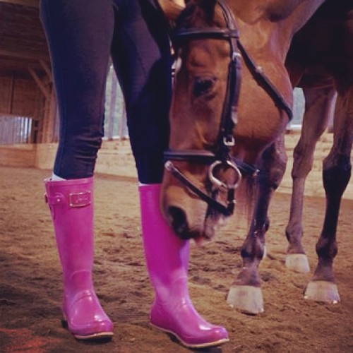 Kidd is a big fan of @joulesclothing Posh Wellies and so am I :) #horse #equine #equestrian #equestr
