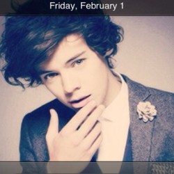 Harry was both of my screen savers yesterday