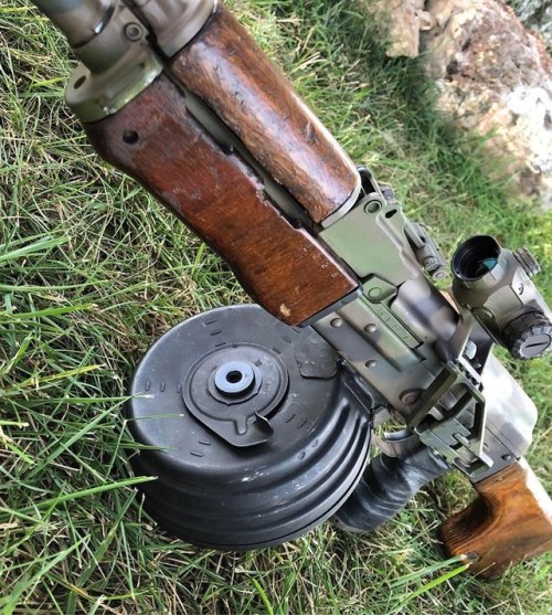 guns & puppies