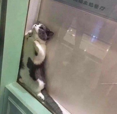 kai-lynchen:No oneliterally no one:*Me in the morning*