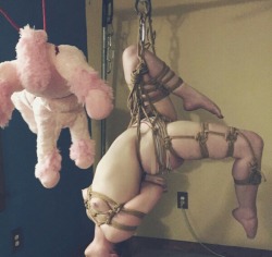 princesssparklecunt:I’ve done a lot of suspensions, but this one I did with Peaches the unicorn was definitely the cutest.  please only reblog with caption intact 