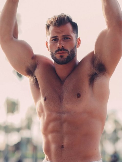 Sexy muscle guys