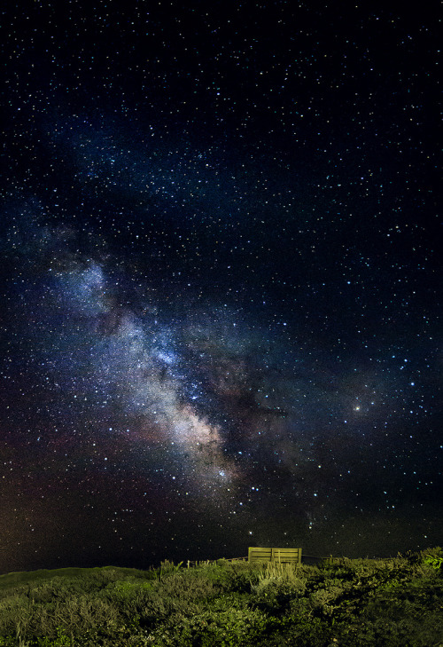 magicalnaturetour:   	Scenic Simplicity by jason jenkins    	Via Flickr: 	A simple scene along Pigeon Point Lighthouse along the Northern California Coast( about 20 miles south of san francisco) on a clear night in spring. 