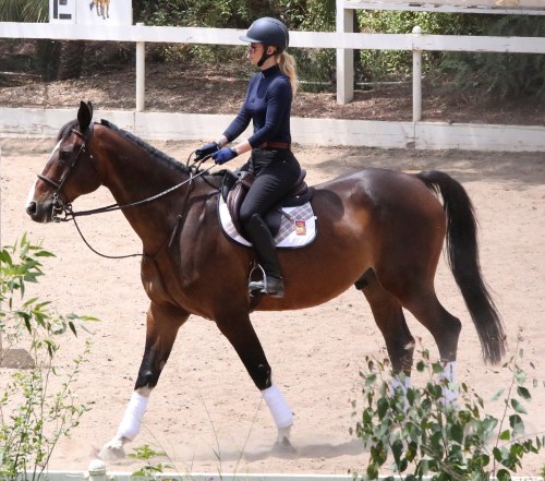 celebs-dailyus:  Iggy Azalea riding a horse in Los Angeles - May 27 