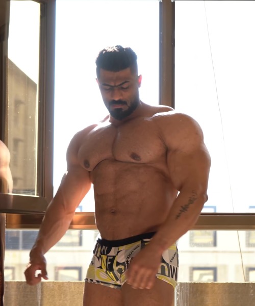 musclelovergr: IRAQI IFBB ELITE PRO BODYBUILDER ALI AL ZARKANISee more: musclelovergr.blogsp