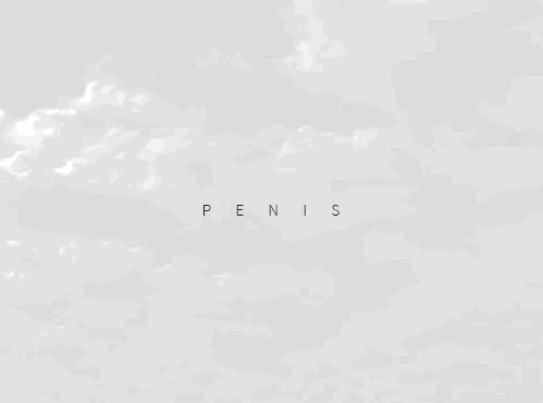 barnabusone:  Penis