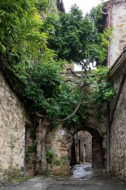 myinnerlandscape:  Maremma 