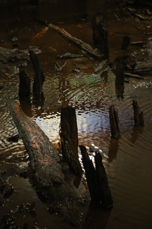 Bronze Age Wooden Causeway and Platform at Flag Fen Bronze Age Centre, Peterborough. This prehistori