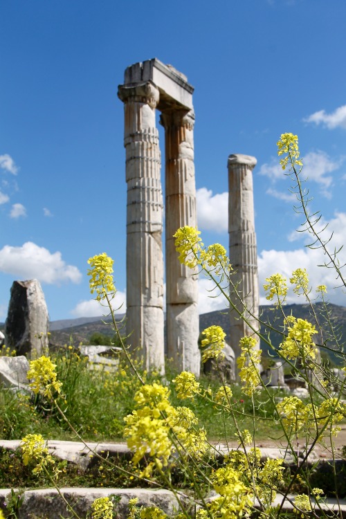 nuretmen:‘Nature is ancientBut surprises us all’ Aphrodisias, Aydin, Turkey © Nur UretmenRuins a