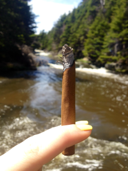 thc-thehappychemical:  Blunt by the river