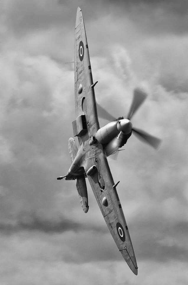 Eyes to the Skies