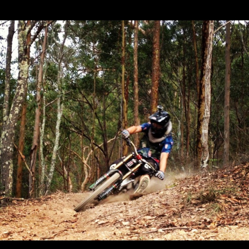 mathewdodd: Railing ruts, party shirt