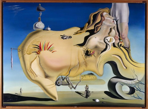 carloskaplan: Dalí: Rostro do Gran Masturbador (1929)