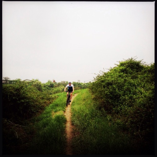 Cruising singletrack