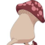 ask-walking-mushroom